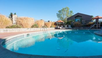 An outdoor pool area with lounge chairs, umbrellas, and a clear blue sky. There are steps leading into the pool and surrounding vegetation.