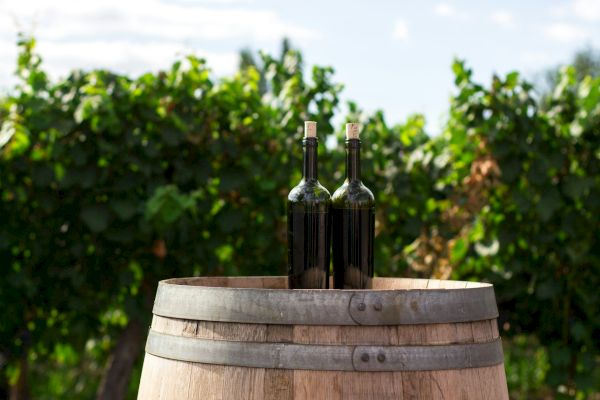 Two wine bottles are placed on top of a wooden barrel in front of a lush vineyard.