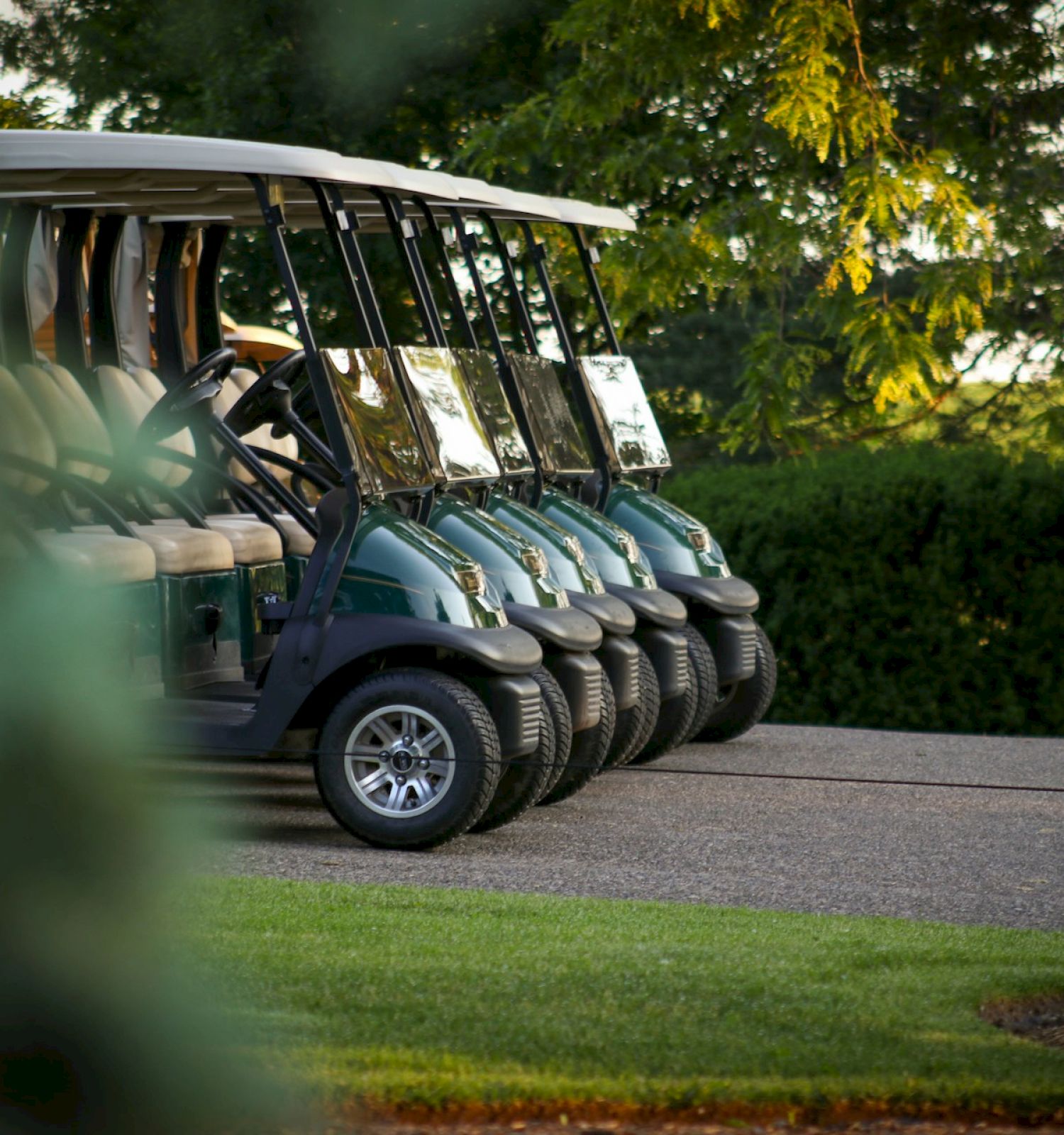 The image shows several golf carts lined up on a paved path with greenery and trees in the background, captured from a side view.