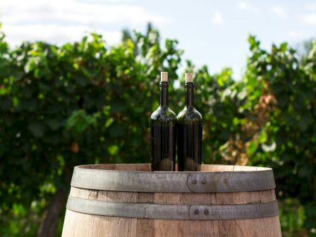 Two bottles of wine are placed on top of a wooden barrel, with a background of green vineyard foliage under a sunny sky.